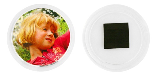 [113322] Magnetische Buttons 12er Set