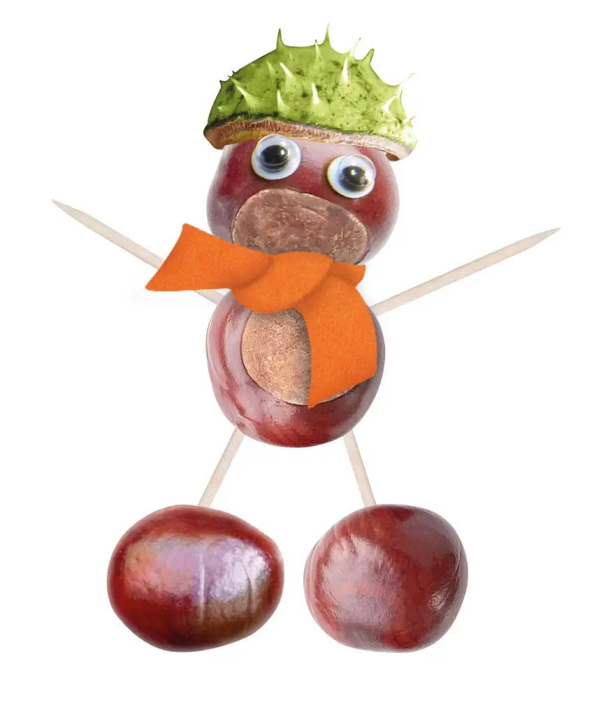 Groß (113400_Kastanen_Maennchen).webp