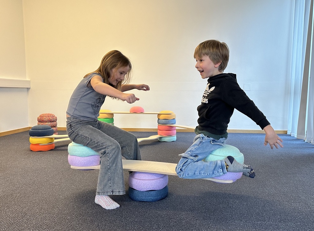 Balancebrücken 3er Set mit 2 Ringen