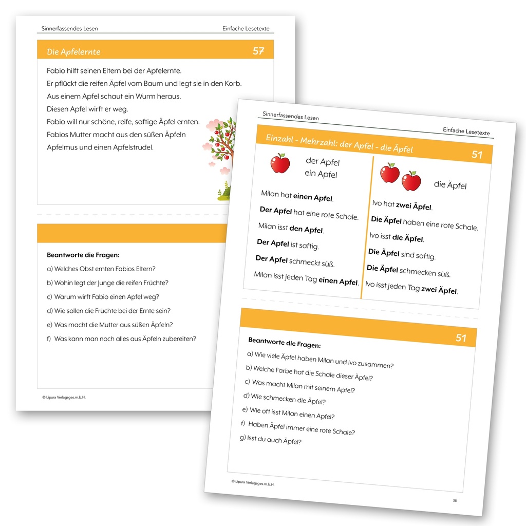 Sinnerfassendes Lesen - Differenzierte Leseübung 