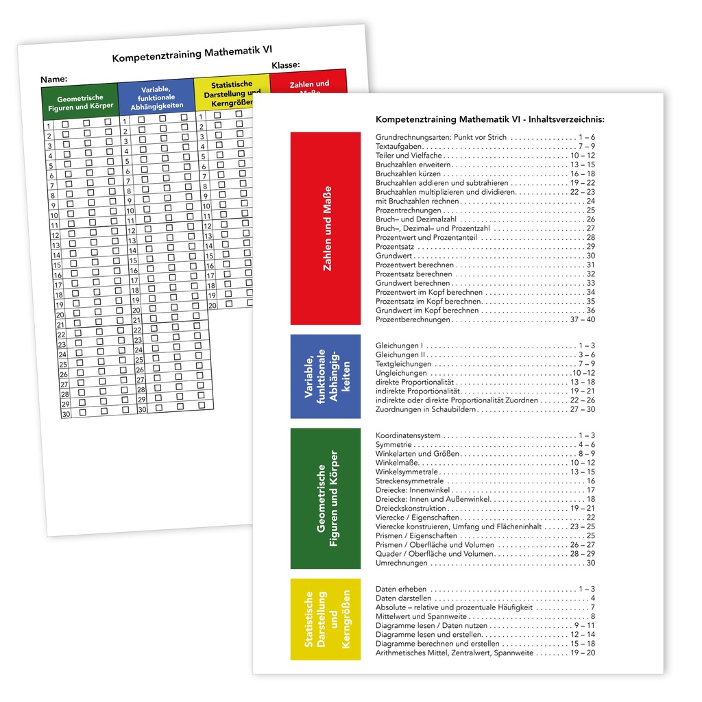 Kompetenztraining Mathematik VI