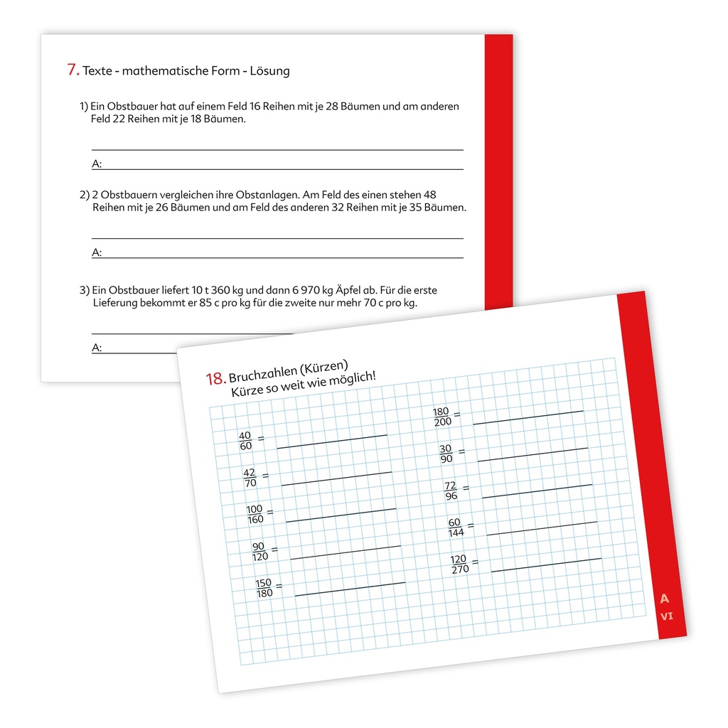 Kompetenztraining Mathematik VI