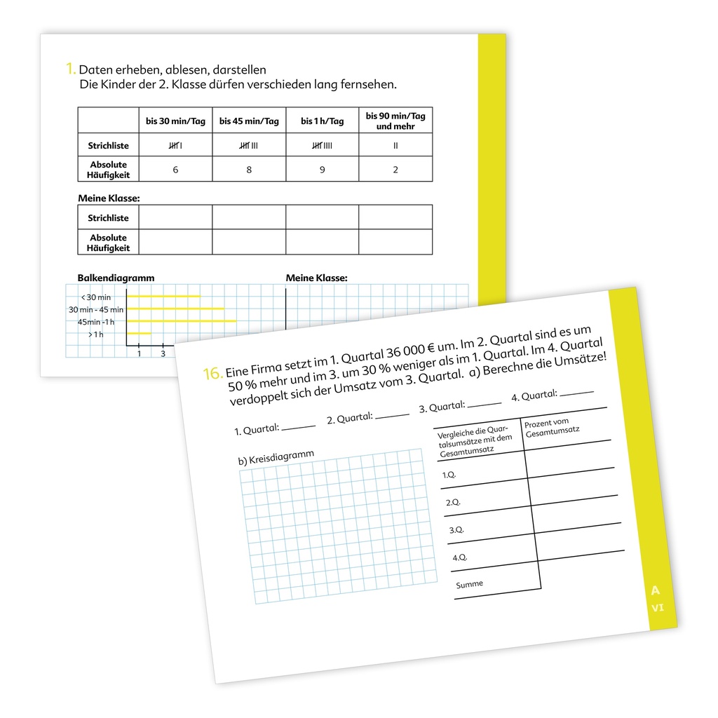 Kompetenztraining Mathematik VI