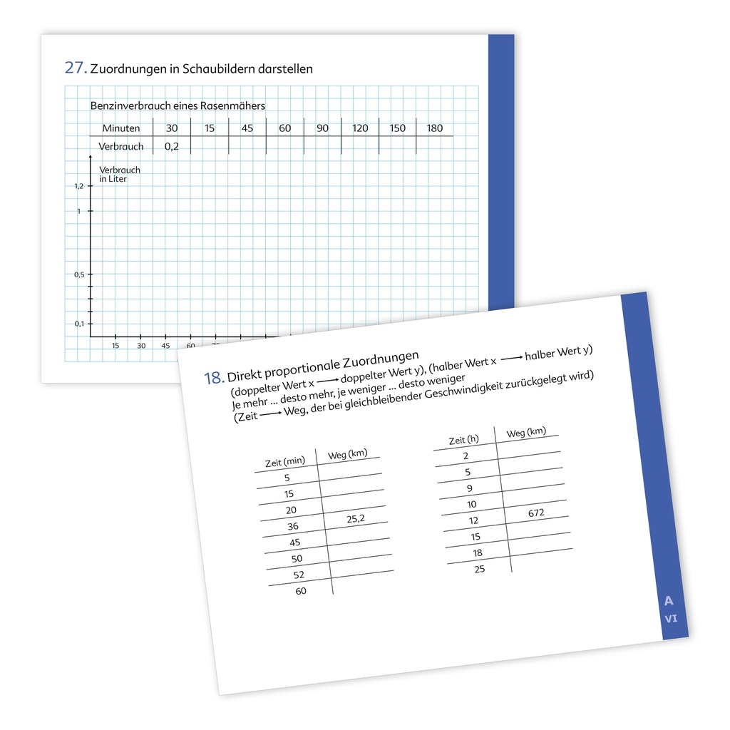 Kompetenztraining Mathematik VI - Kompakt