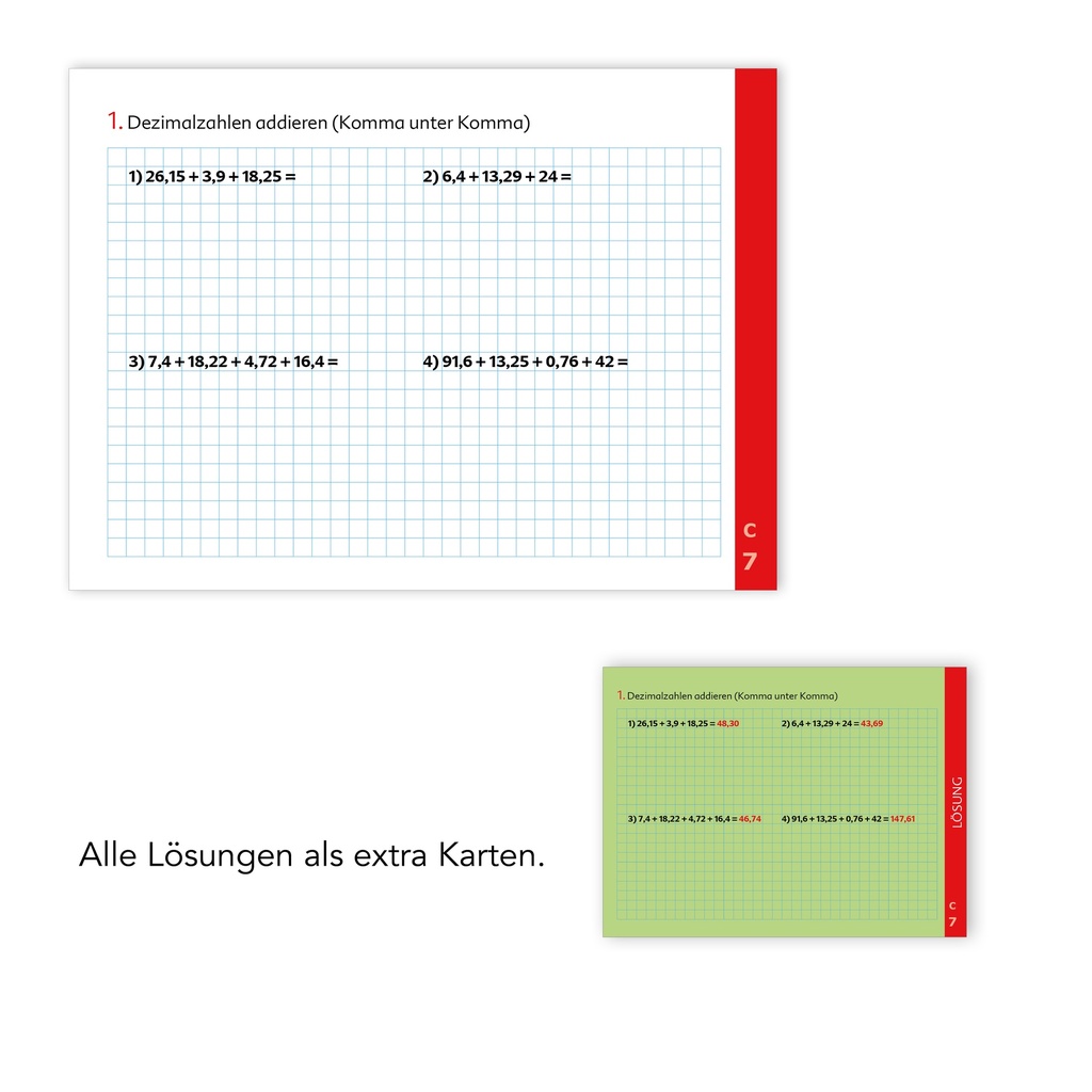 Kompetenztraining Mathematik VII