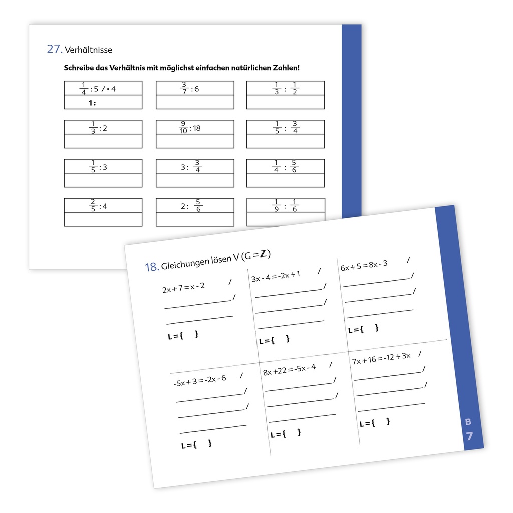 Kompetenztraining Mathematik VII