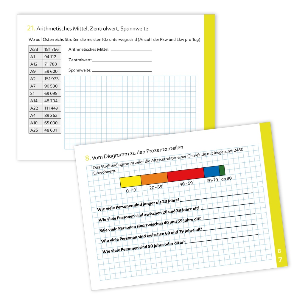 Kompetenztraining Mathematik VII