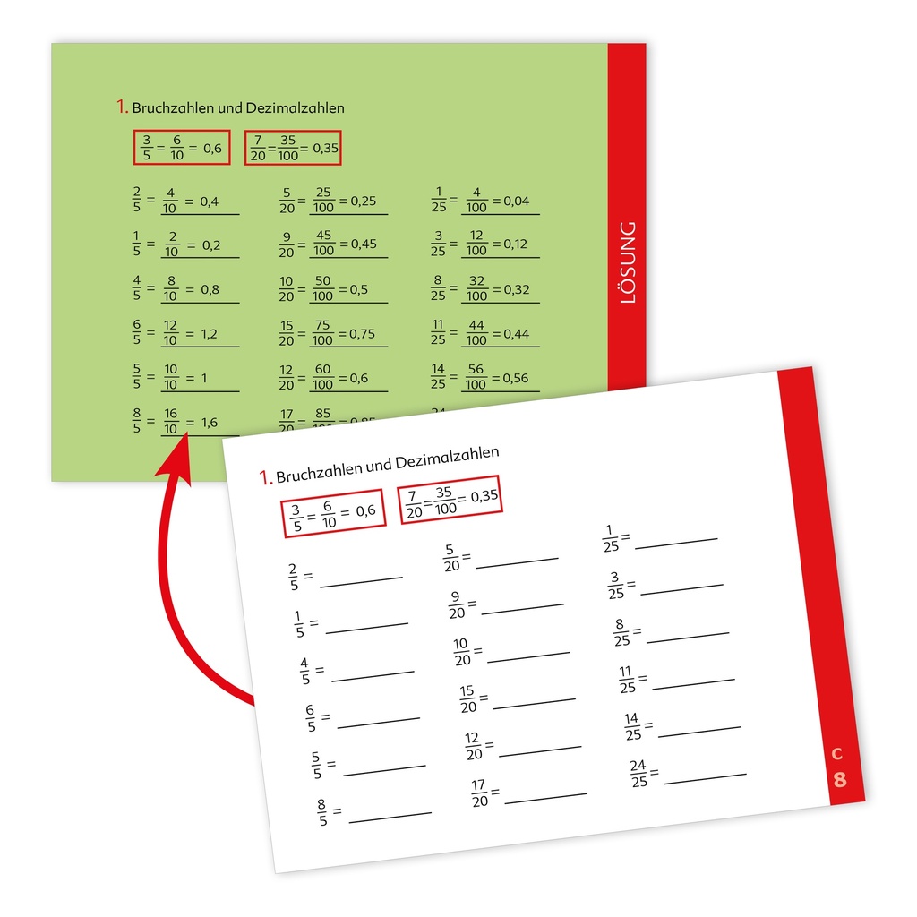 Kompetenztraining Mathematik VIII