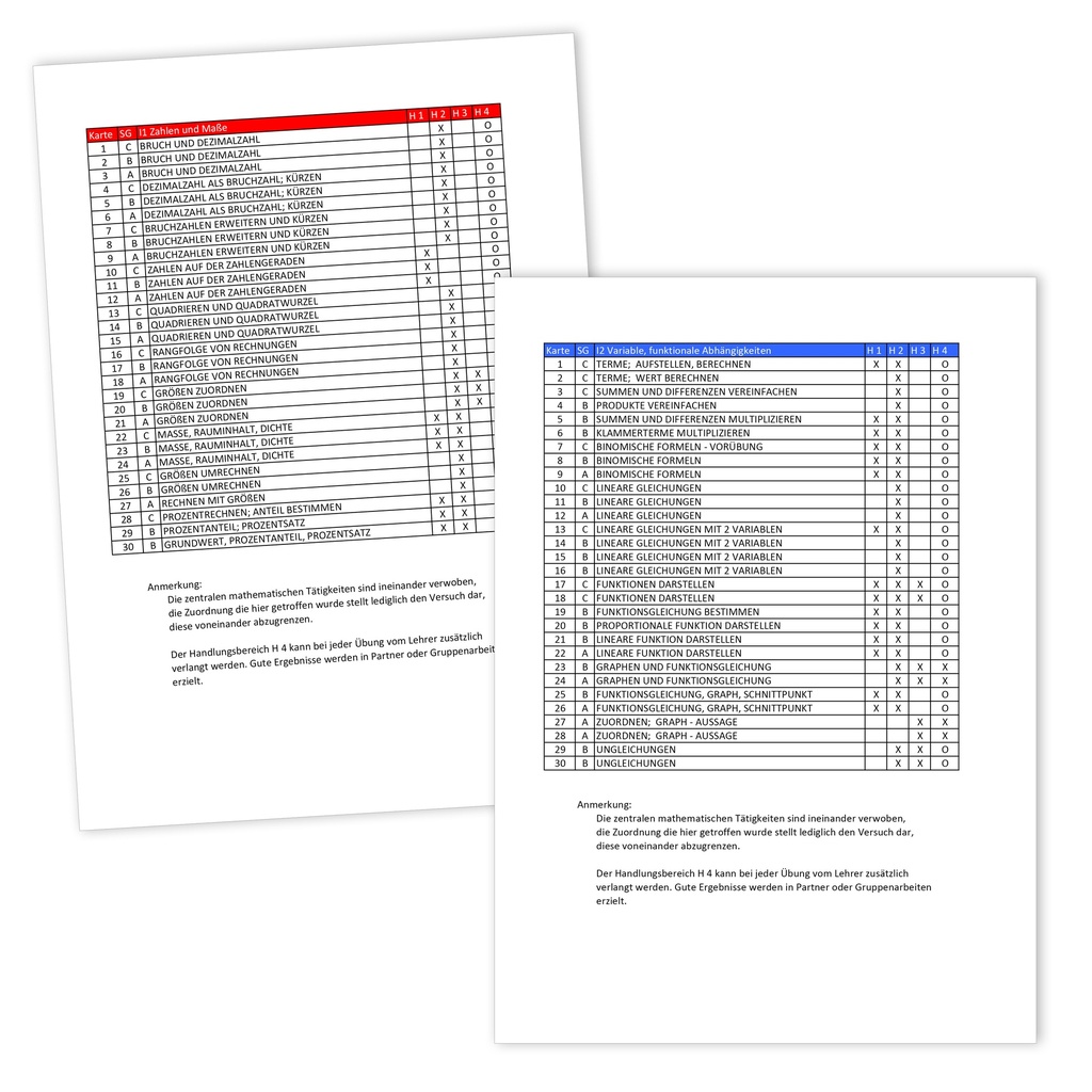 Kompetenztraining Mathematik VIII