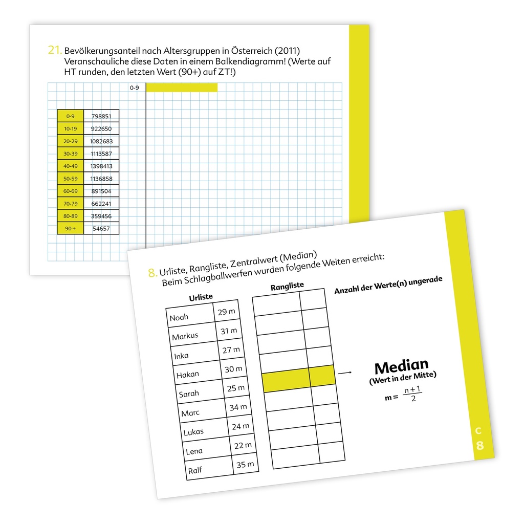 Kompetenztraining Mathematik VIII