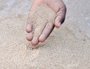 Sensorik Quarzsand