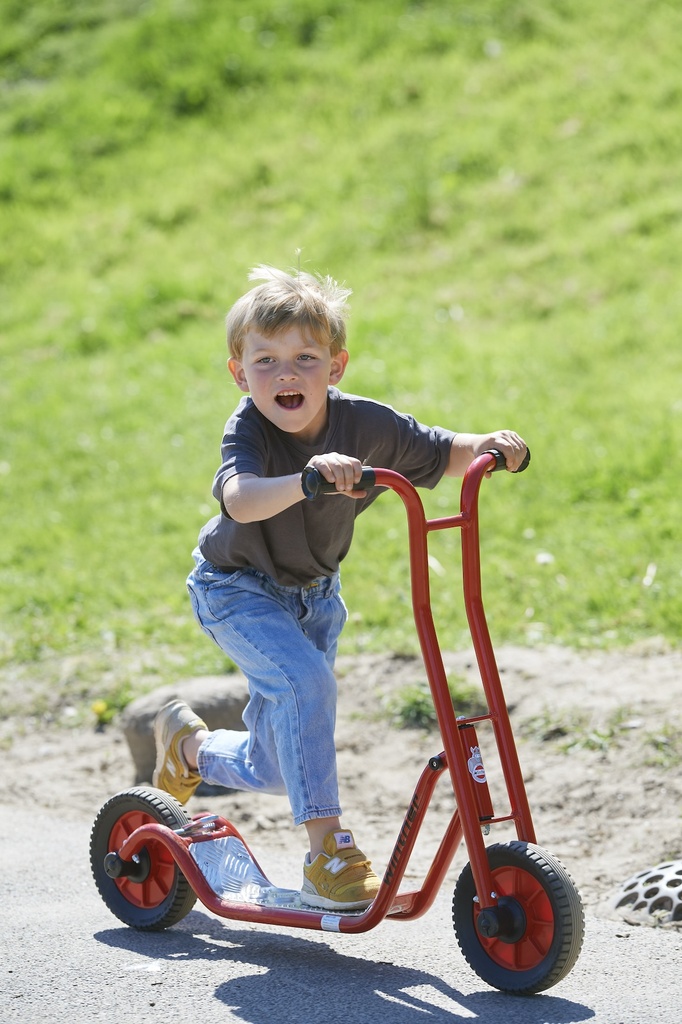 Roller klein