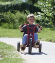 Viking Easy Rider