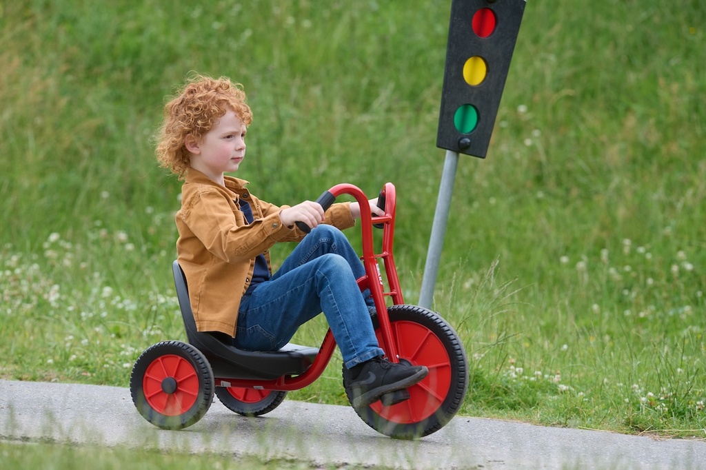 Viking Easy Rider