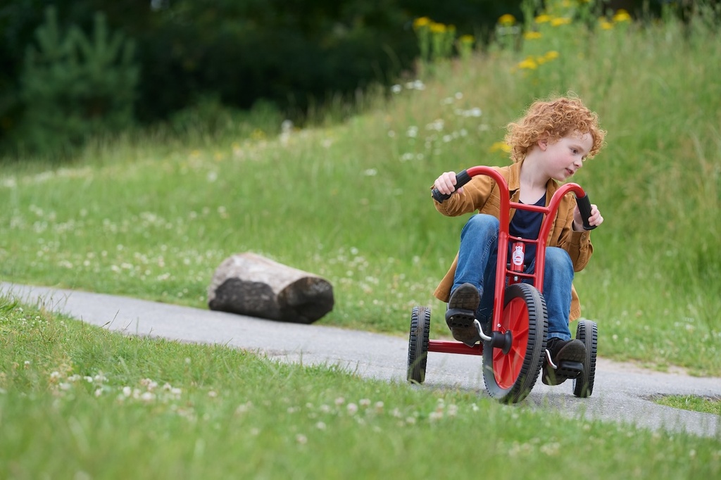 Viking Easy Rider