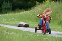 Viking Easy Rider