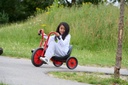 Viking Easy Rider