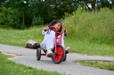 Viking Easy Rider