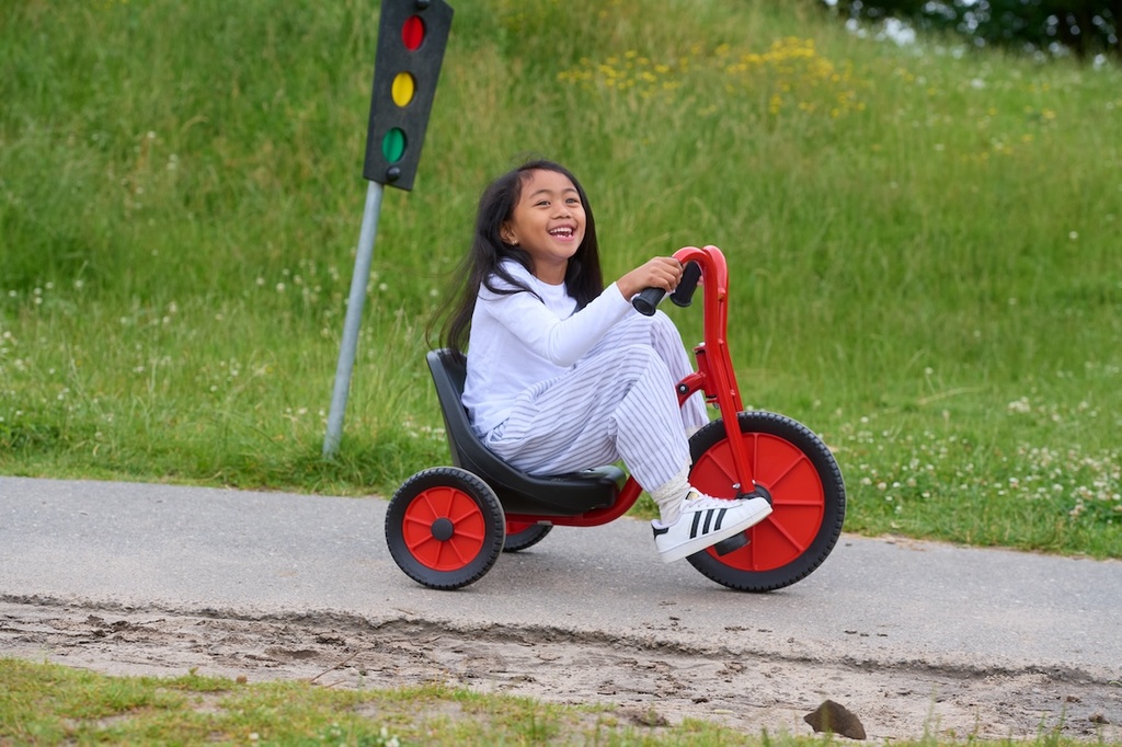 Viking Easy Rider