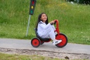 Viking Easy Rider