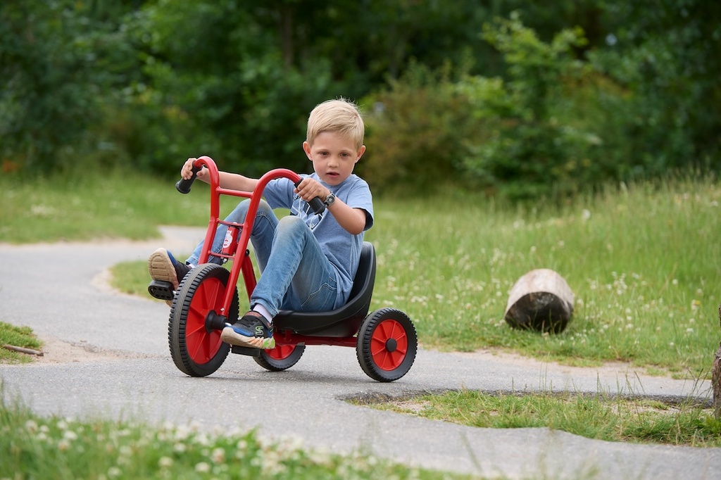 Viking Easy Rider