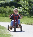 Viking Easy Rider