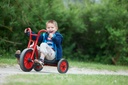Viking Easy Rider