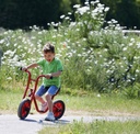 Bike Runner mit niedrigem Einstieg