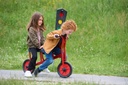Tandem Bike Runner