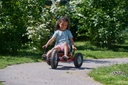 VIKING EXPLORER Fun Racer
