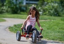 VIKING EXPLORER Fun Racer