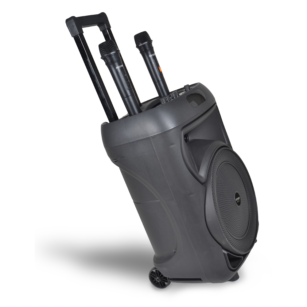 Kabellose Trolley-Lautsprecherbox mit 2 Mikrofonen