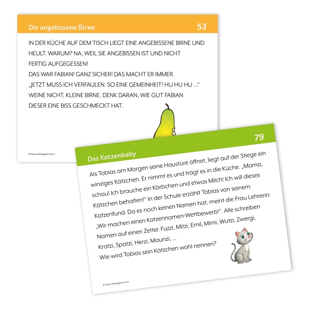 Sinnerfassendes Lesen - Differenzierte Leseübung