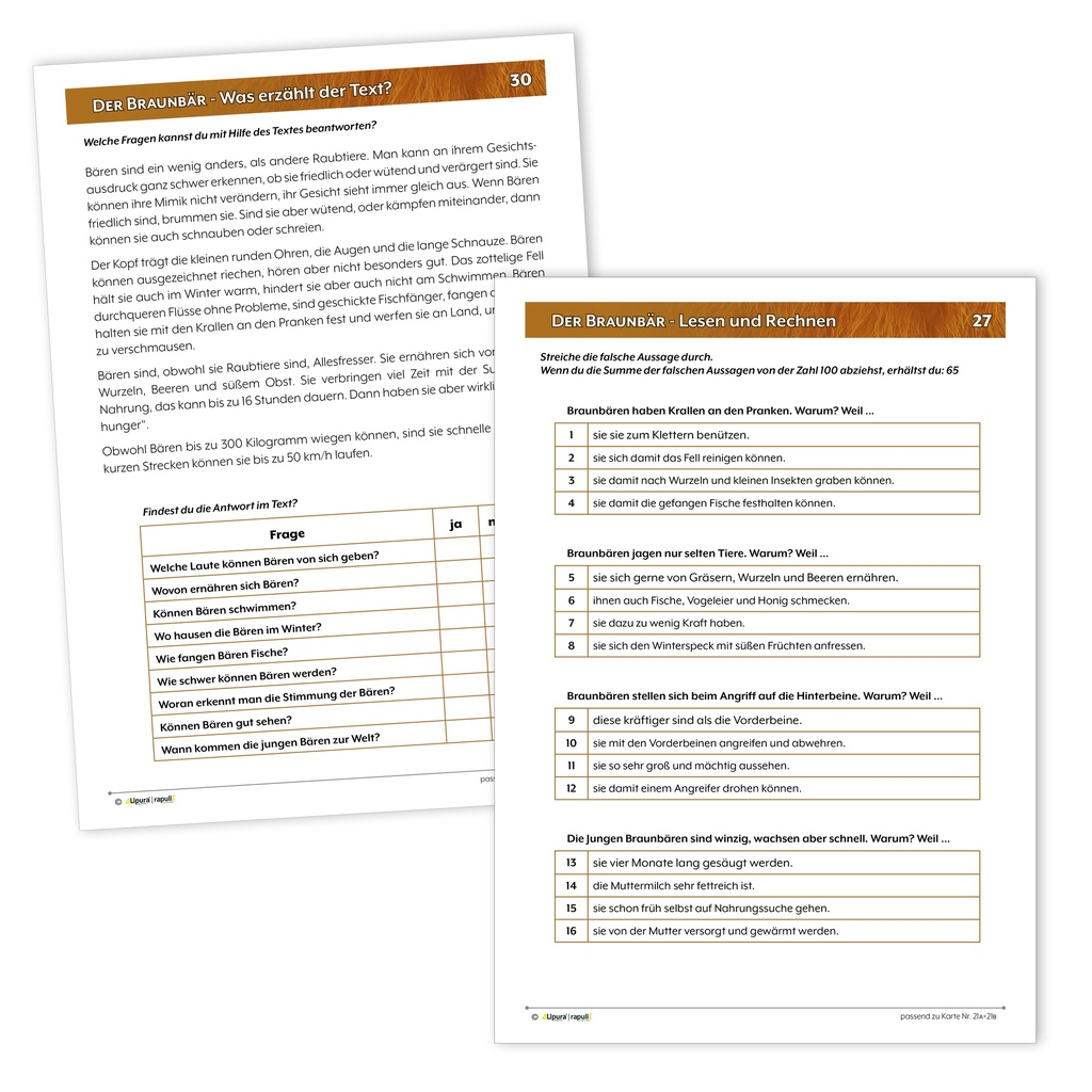 Lesestrategien zum Erkunden von Sachtexten - Medienband