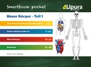 Unser Körper Teil 1 - Körperteile, Skelett, Muskeln und Organe