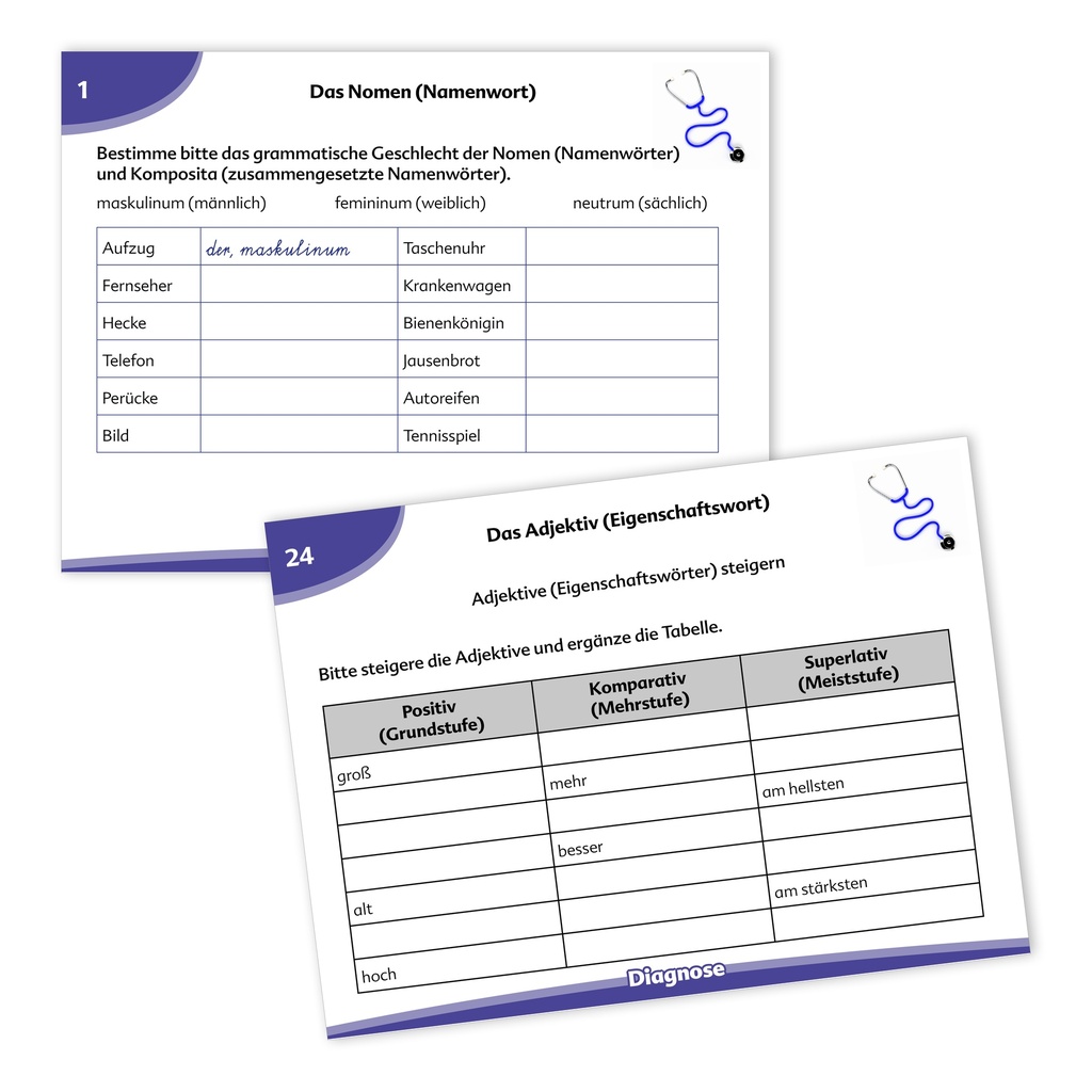 Kompetenztraining Grammatik V - Kompakt