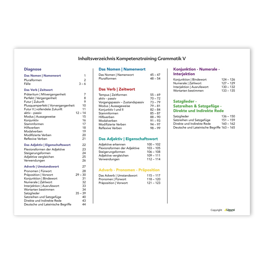 Kompetenztraining Grammatik V - Kompakt