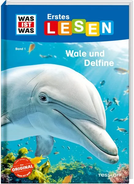 Erstes Lesen - Wale und Delfine