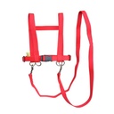 Pferdeleine - PP-Gurtband