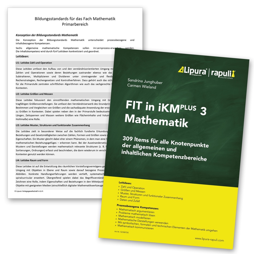 Fit für die IKM - Mathematik 3 - Deutscher Lehrplan