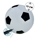 Riesen Fußball mit Pumpe