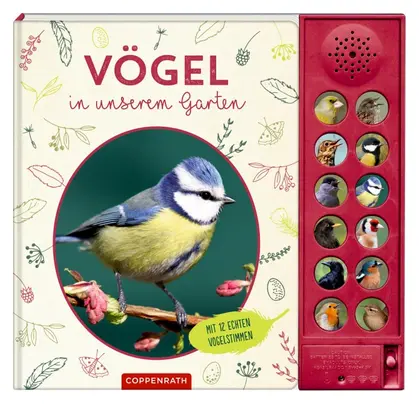 Vögel in unserem Garten
