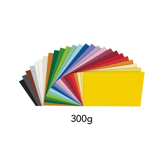 [113046] Fotokarton A4, 250 Blatt, 300g, 25 Farben sortiert