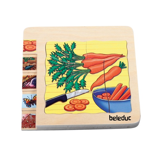 [A104209] Lagen-Puzzle "Karotte"